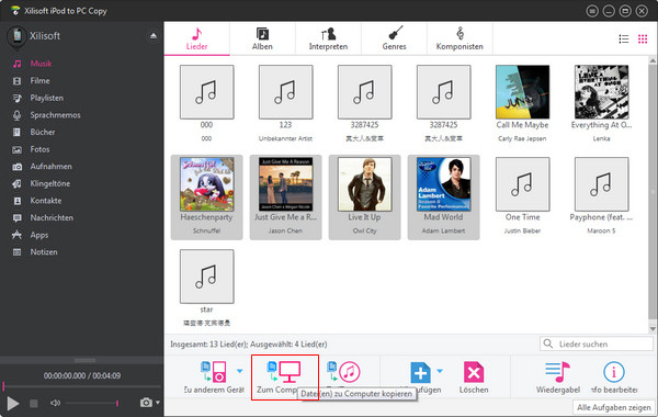 ipod auf pc