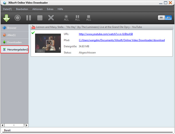 Online Video Downloaden Anleitung