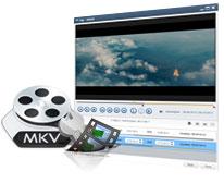 blu-ray für mkv converter