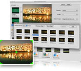 DVD frame capture on Mac