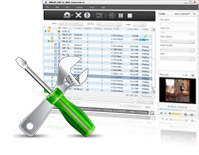 convert DVD to DivX