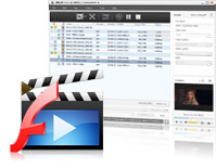 FLV to MPEG Converting